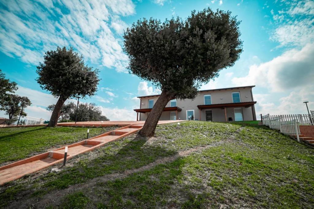 Agriturismo Il Colle Dei Lecci Анкона Екстер'єр фото